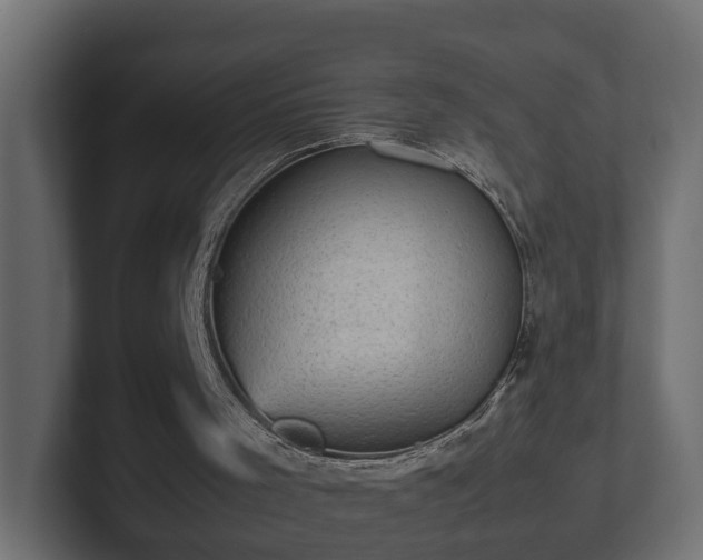 X0000103160001200808291459