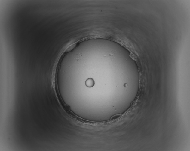 X0000103160003200808291459