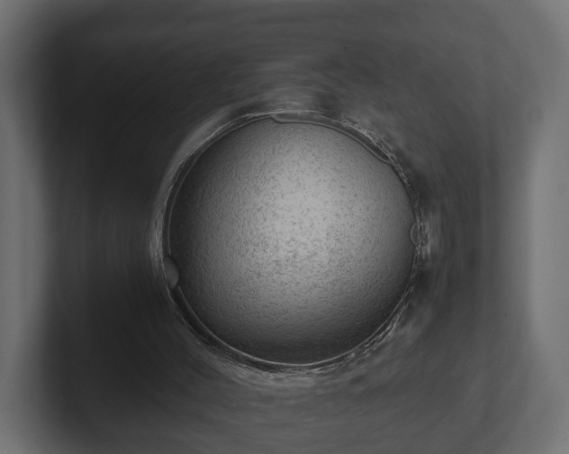 X0000103160004200808291459