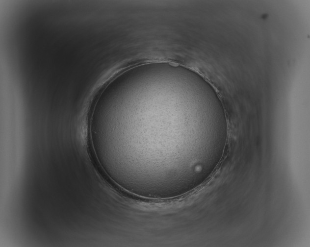 X0000103160005200808291459