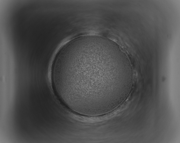 X0000103160006200808291459