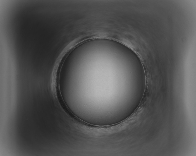 X0000103160007200808291459