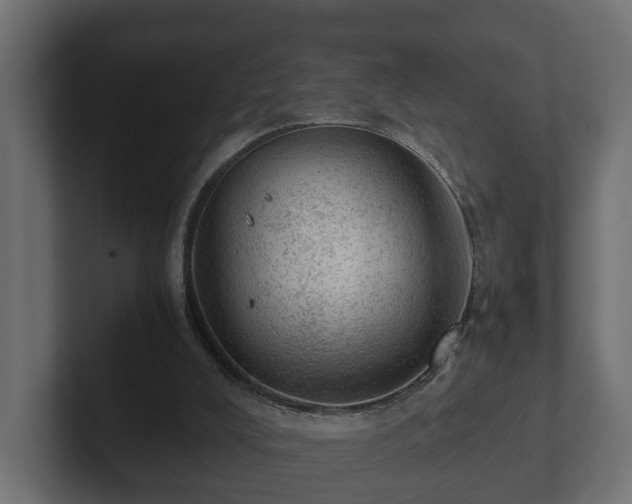 X0000103160008200808291459