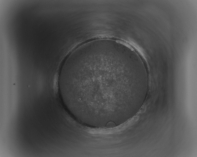 X0000103160009200808291459