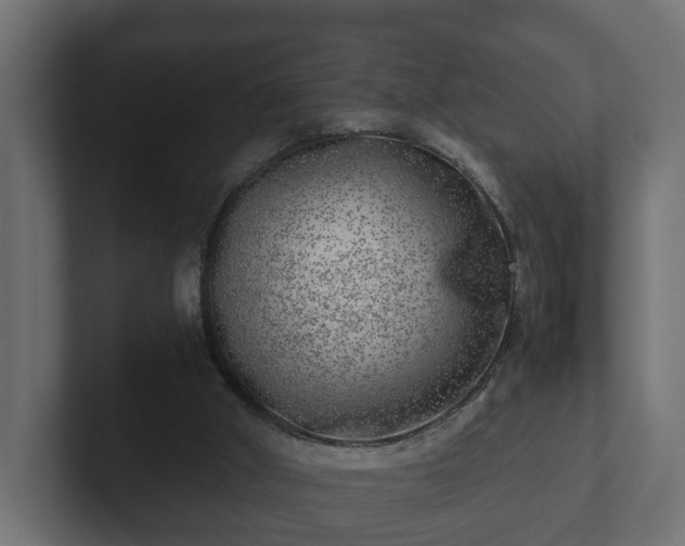 X0000103160010200808291459