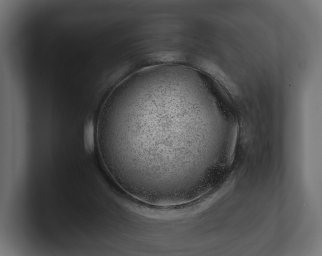 X0000103160014200808291459