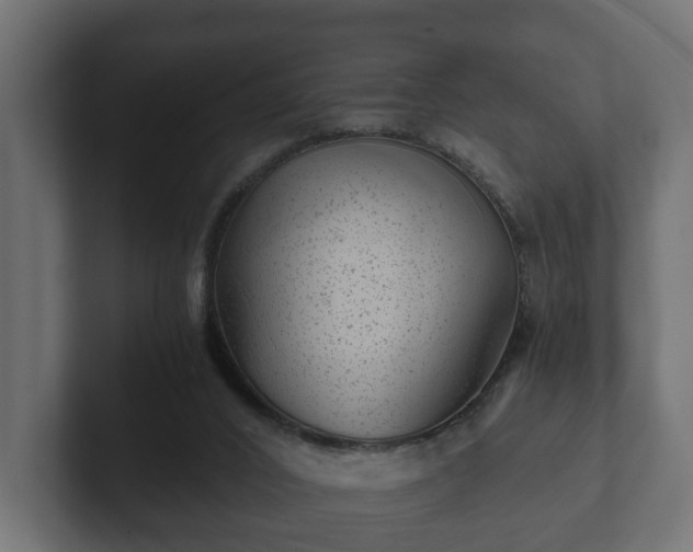 X0000103160016200808291459