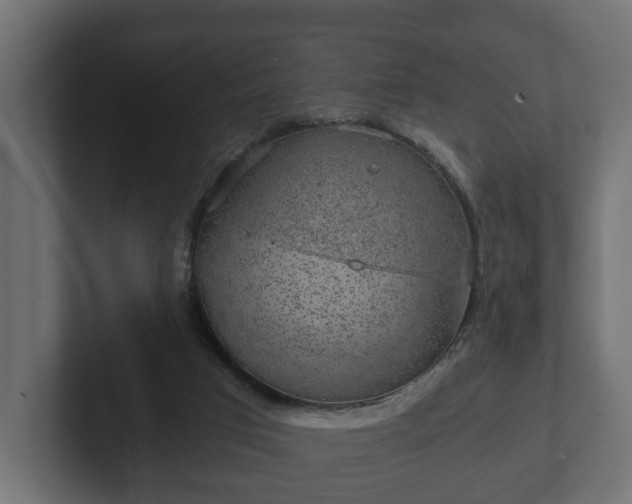 X0000103160017200808291459