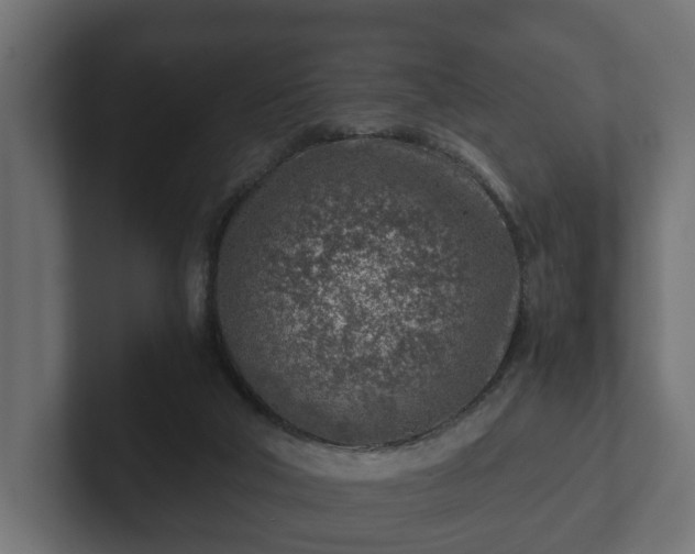 X0000103160018200808291459