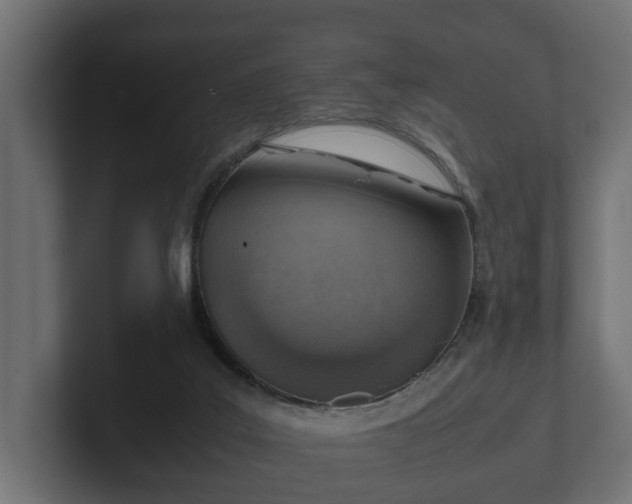 X0000103160019200808291459