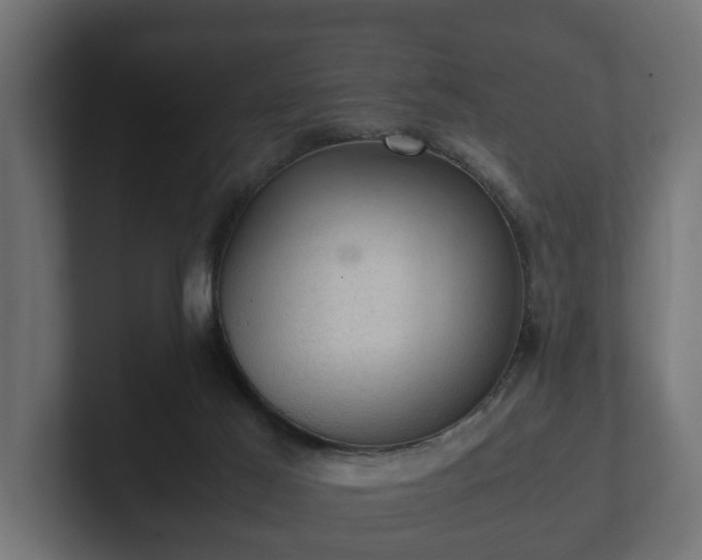 X0000103160021200808291459