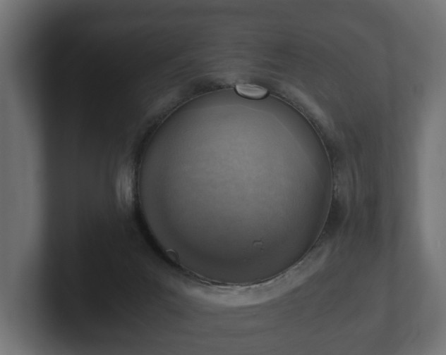 X0000103160023200808291459