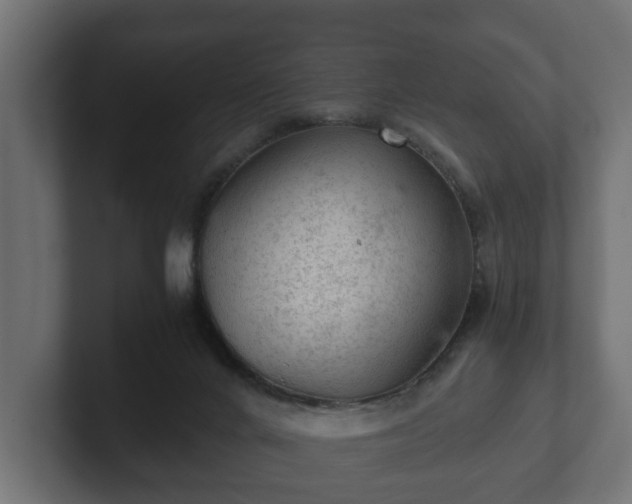 X0000103160024200808291459