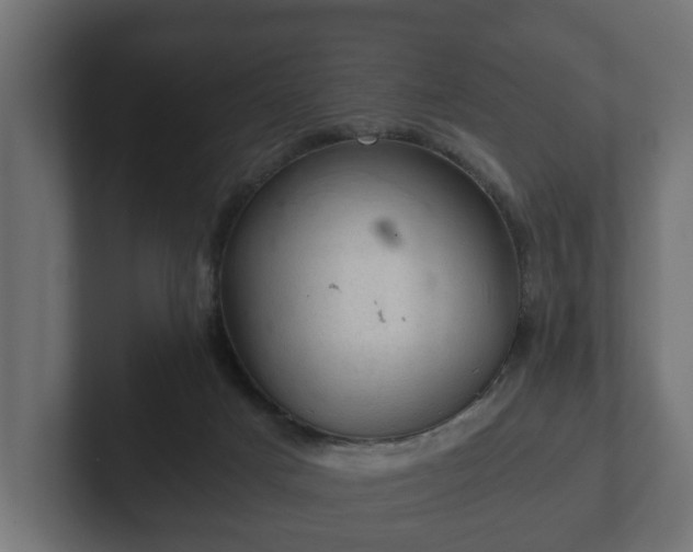 X0000103160025200808291459