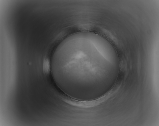 X0000103160027200808291459