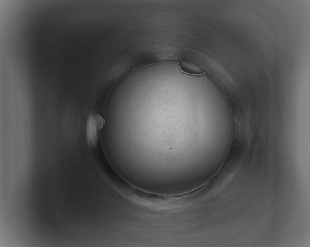 X0000103160028200808291459