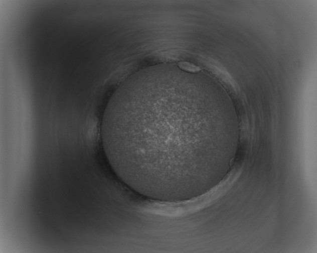 X0000103160029200808291459