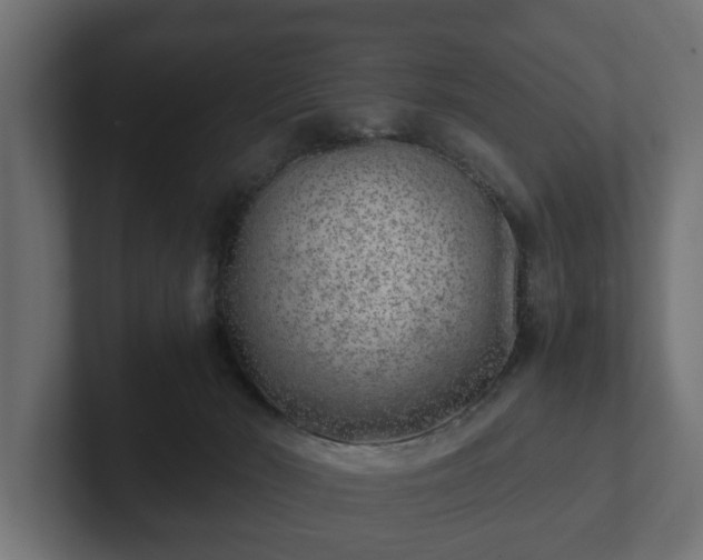 X0000103160030200808291459