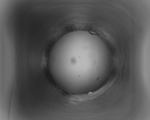 X0000103160033200808291459