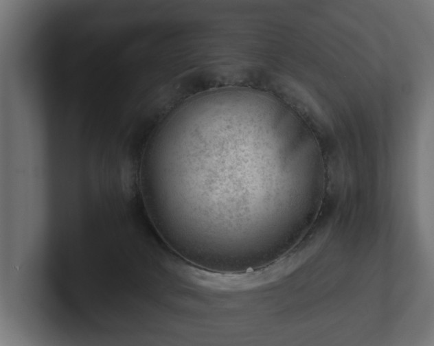 X0000103160034200808291459