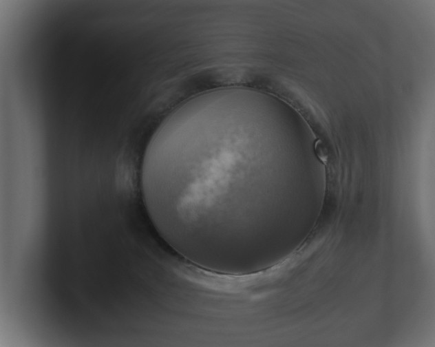 X0000103160035200808291459