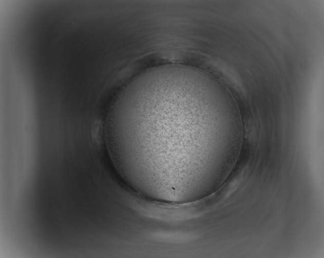 X0000103160036200808291459