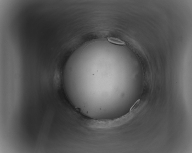 X0000103160037200808291459