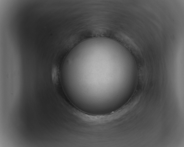 X0000103160038200808291459