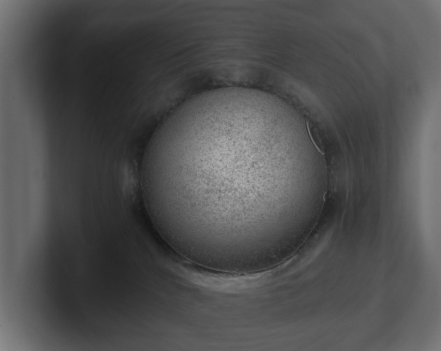 X0000103160040200808291459