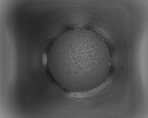 X0000103160041200808291459