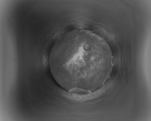 X0000103160043200808291459