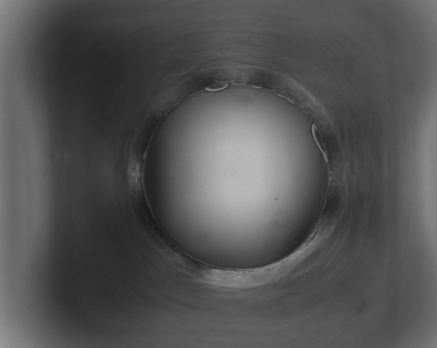 X0000103160045200808291459