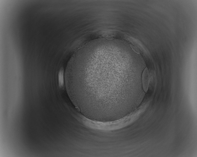 X0000103160046200808291459