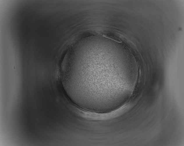 X0000103160048200808291459