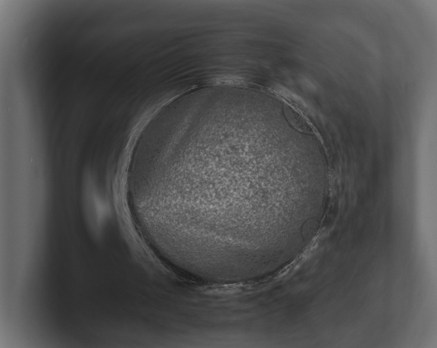 X0000103160049200808291458