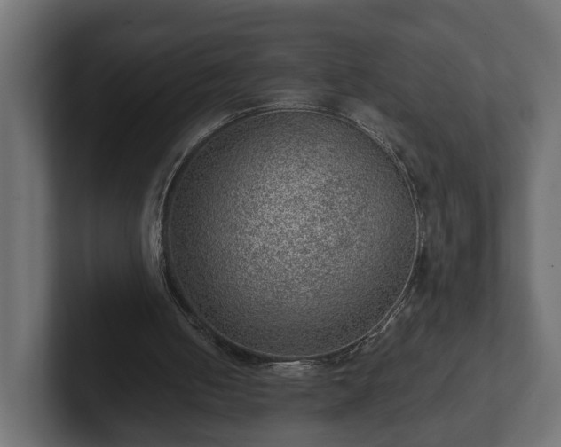 X0000103160050200808291458