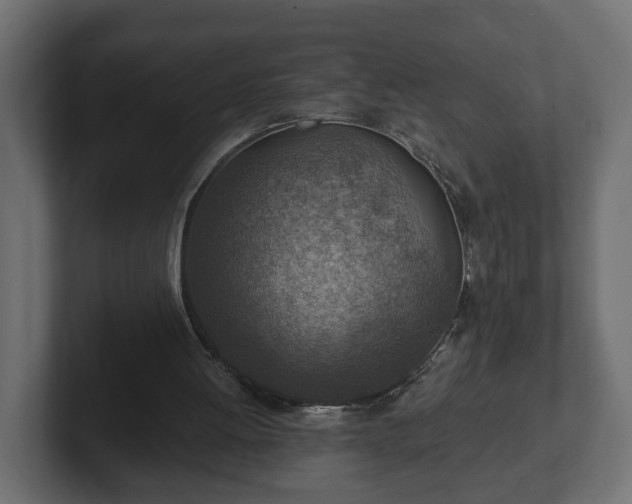 X0000103160052200808291458