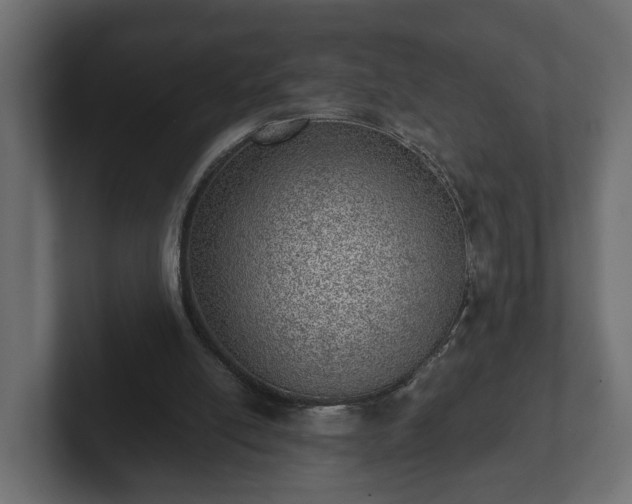 X0000103160054200808291458