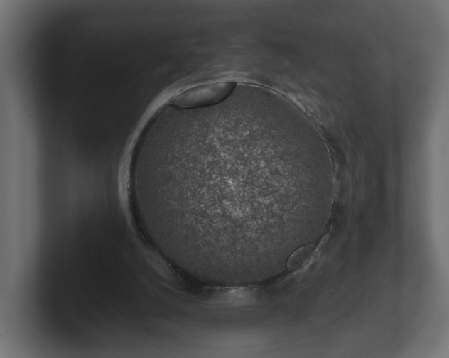 X0000103160056200808291458