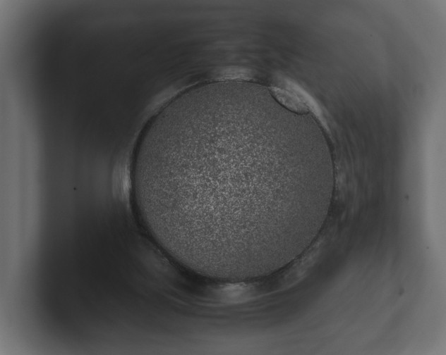 X0000103160059200808291458