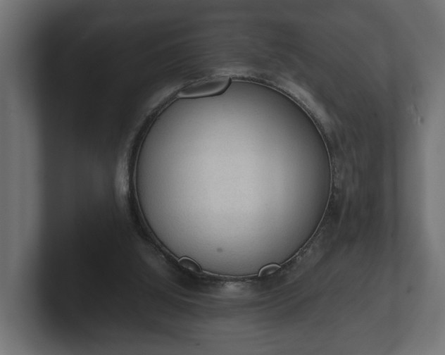 X0000103160060200808291458