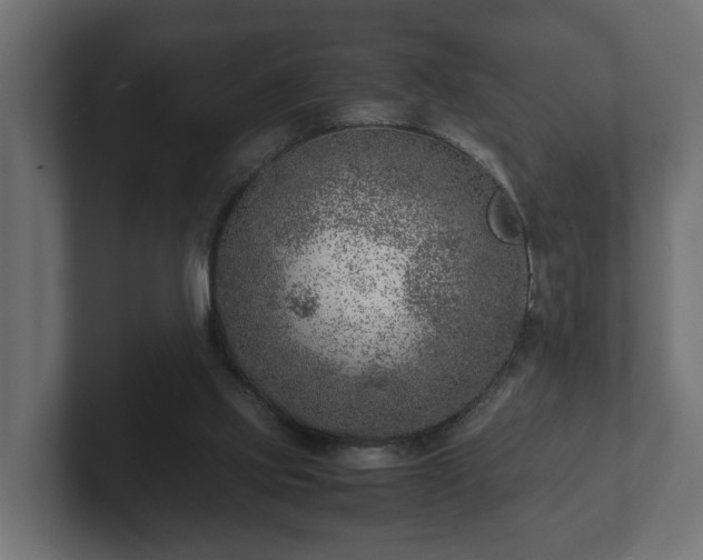 X0000103160061200808291458