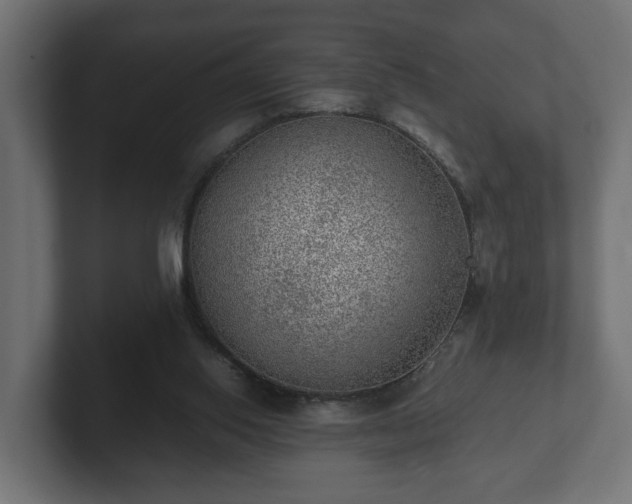 X0000103160062200808291458