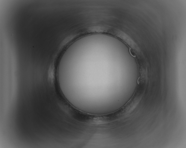 X0000103160064200808291458