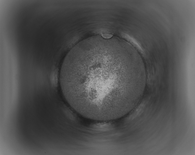 X0000103160065200808291458