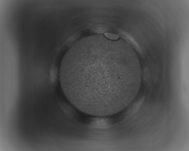 X0000103160073200808291458