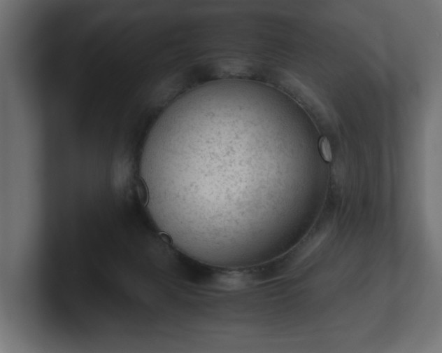 X0000103160079200808291459