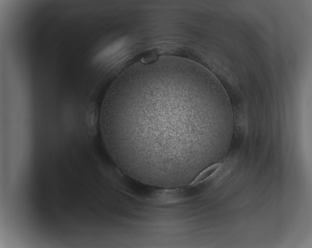 X0000103160082200808291459