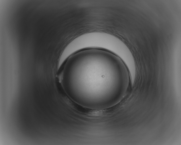 X0000103160084200808291459