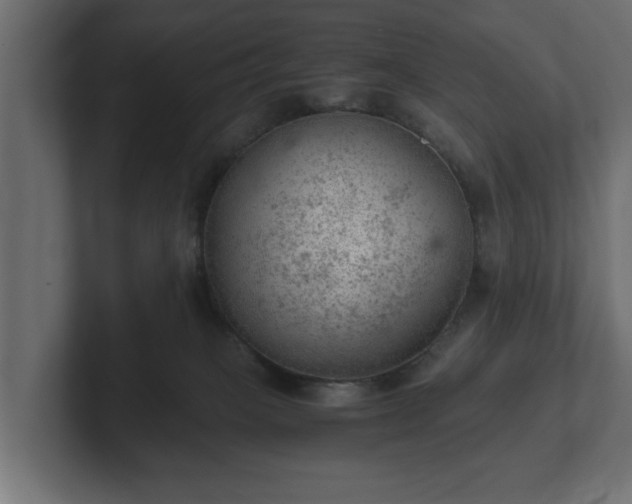 X0000103160085200808291459